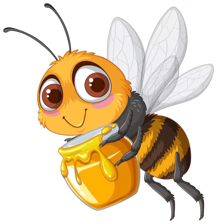 Speling bee – регионален успех